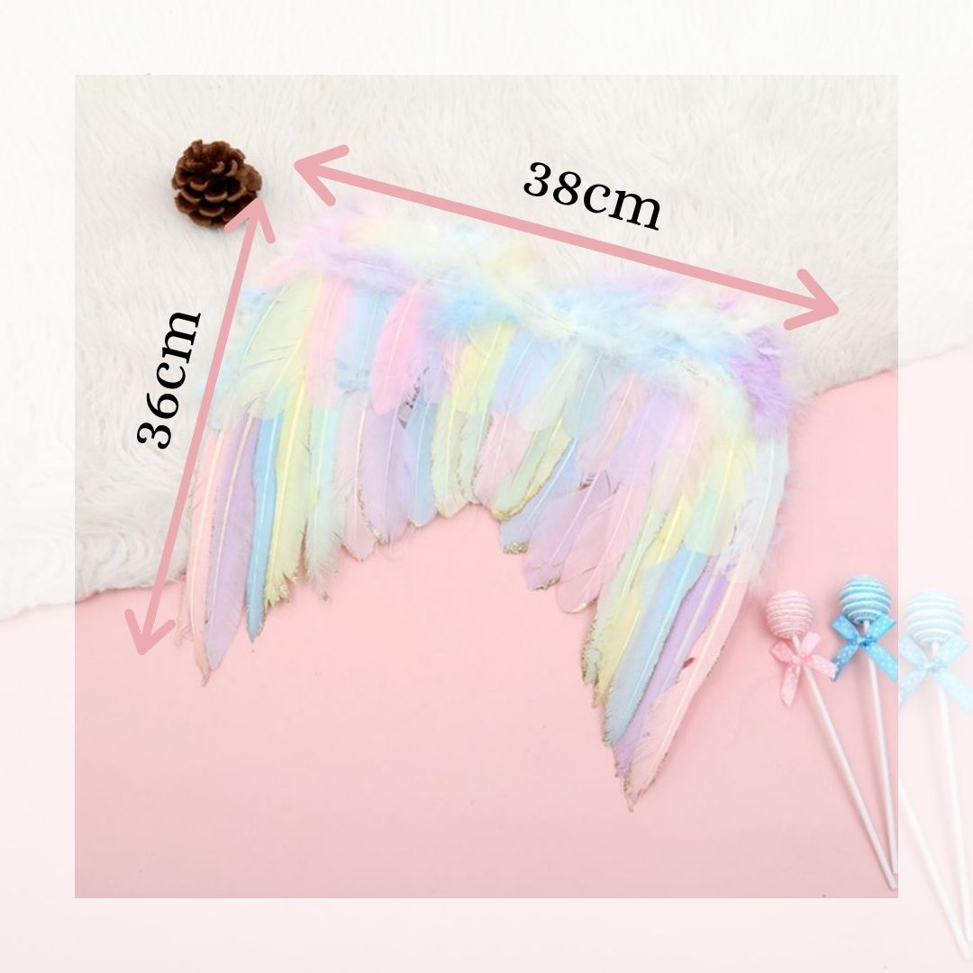 Unicorn Wing Gift Set